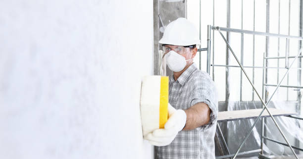 Reliable Melrose, MA Mold Removal Solutions